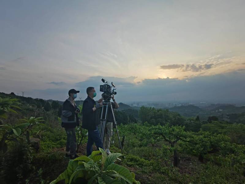 创意破圈！城中区电商产品宣传视频用故事化叙事引爆流量
