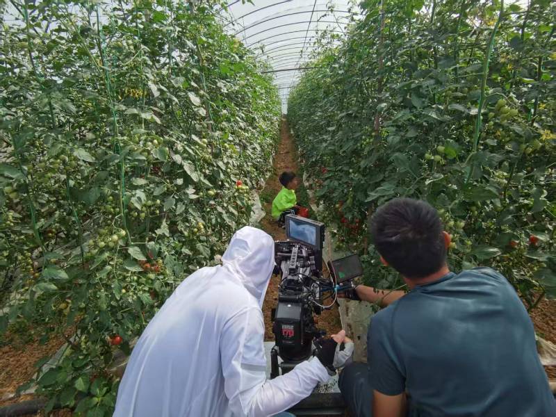 城中区产品宣传视频拍摄公司进阶指南，助力品牌抢占传播高地